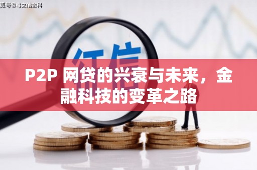 自贡P2P 网贷的兴衰与未来，金融科技的变革之路