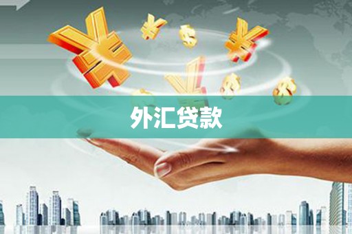 自贡外汇贷款