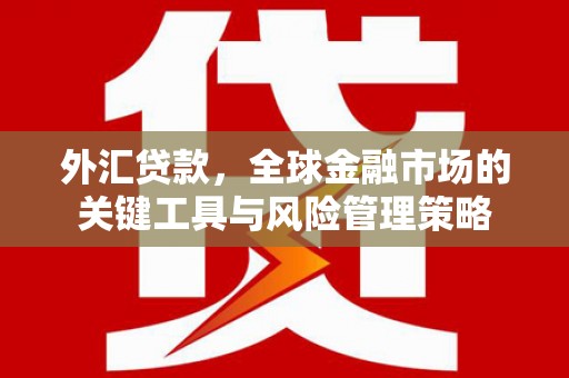 自贡外汇贷款，全球金融市场的关键工具与风险管理策略