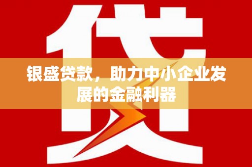 自贡银盛贷款，助力中小企业发展的金融利器