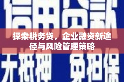 自贡探索税务贷，企业融资新途径与风险管理策略