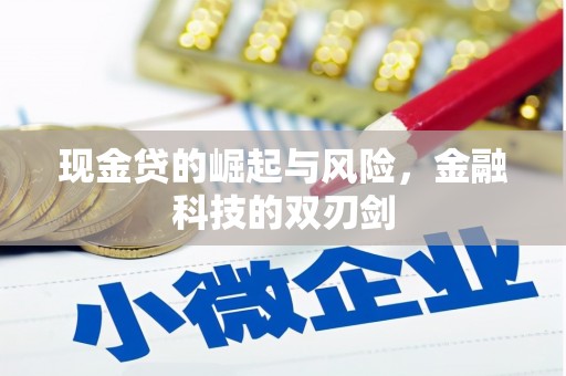 自贡现金贷的崛起与风险，金融科技的双刃剑