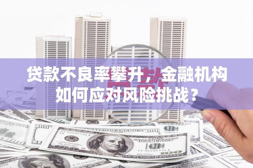 自贡贷款不良率攀升，金融机构如何应对风险挑战？