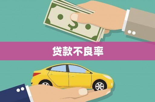 自贡贷款不良率