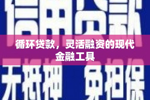 自贡循环贷款，灵活融资的现代金融工具
