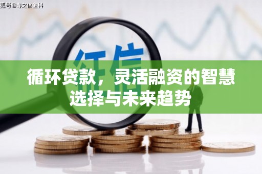 自贡循环贷款，灵活融资的智慧选择与未来趋势