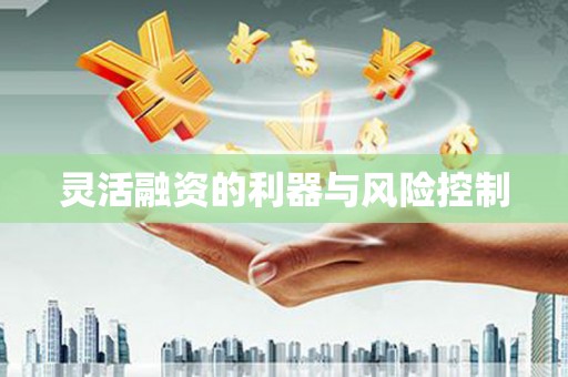 自贡灵活融资的利器与风险控制