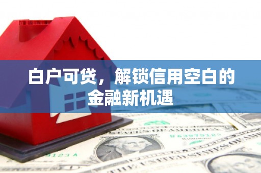 自贡白户可贷，解锁信用空白的金融新机遇