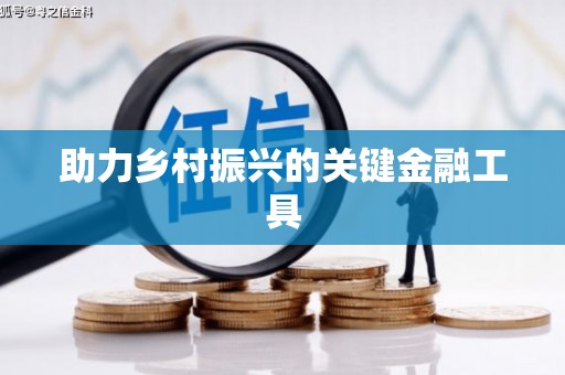自贡助力乡村振兴的关键金融工具