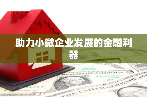自贡助力小微企业发展的金融利器
