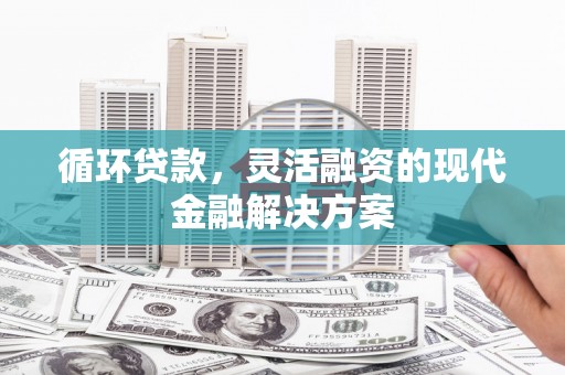 自贡循环贷款，灵活融资的现代金融解决方案
