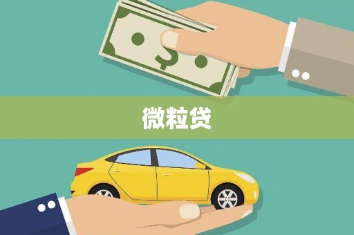 自贡微粒贷