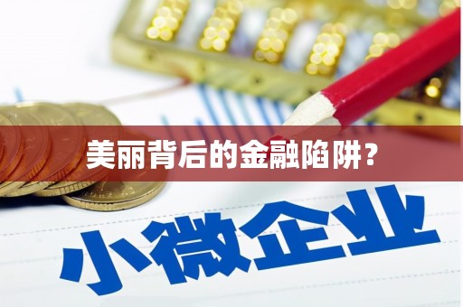 自贡美丽背后的金融陷阱？