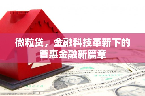 自贡微粒贷，金融科技革新下的普惠金融新篇章