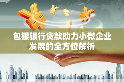 自贡包银银行贷款助力小微企业发展的全方位解析