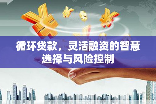 自贡循环贷款，灵活融资的智慧选择与风险控制