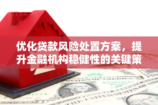 自贡优化贷款风险处置方案，提升金融机构稳健性的关键策略