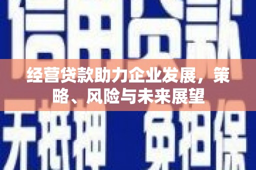 自贡经营贷款助力企业发展，策略、风险与未来展望