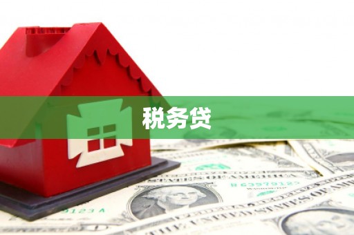 自贡税务贷