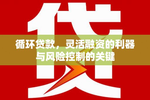 自贡循环贷款，灵活融资的利器与风险控制的关键