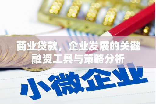 自贡商业贷款，企业发展的关键融资工具与策略分析