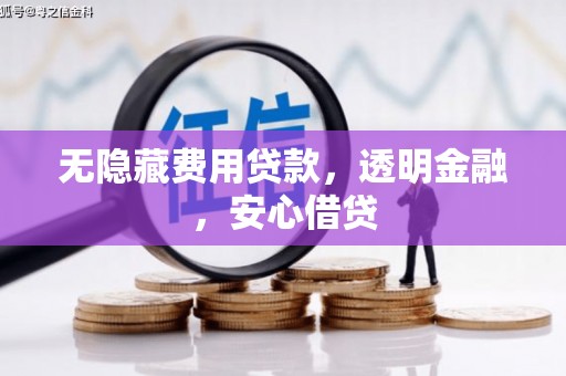 自贡无隐藏费用贷款，透明金融，安心借贷