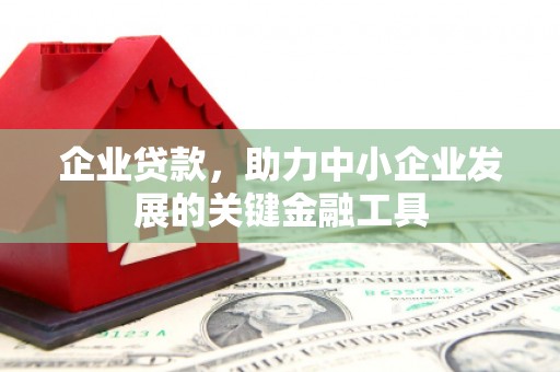 自贡企业贷款，助力中小企业发展的关键金融工具