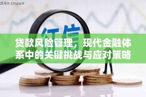 自贡贷款风险管理，现代金融体系中的关键挑战与应对策略