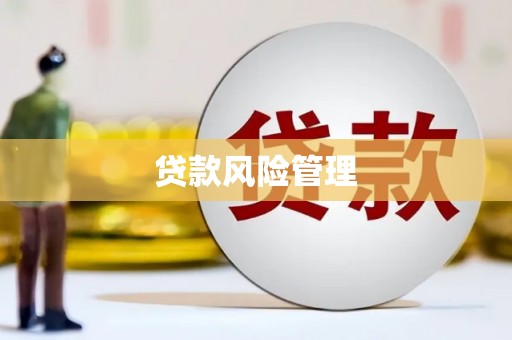 自贡贷款风险管理
