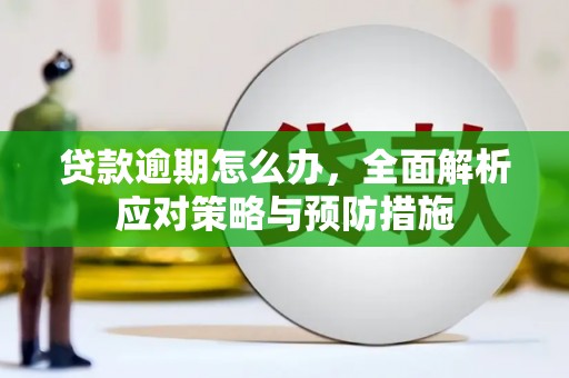 自贡贷款逾期怎么办，全面解析应对策略与预防措施