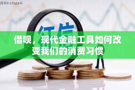 自贡借呗，现代金融工具如何改变我们的消费习惯