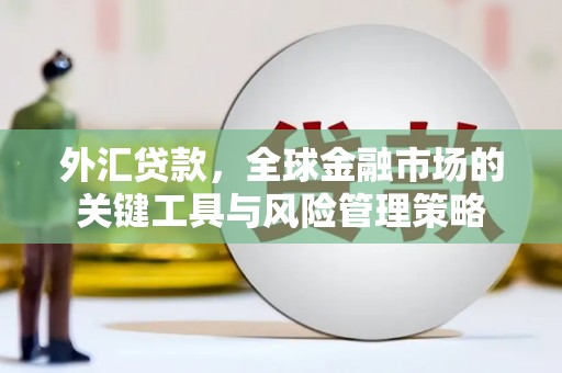 自贡外汇贷款，全球金融市场的关键工具与风险管理策略