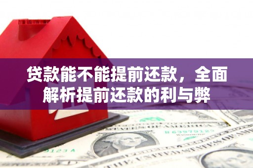 自贡贷款能不能提前还款，全面解析提前还款的利与弊