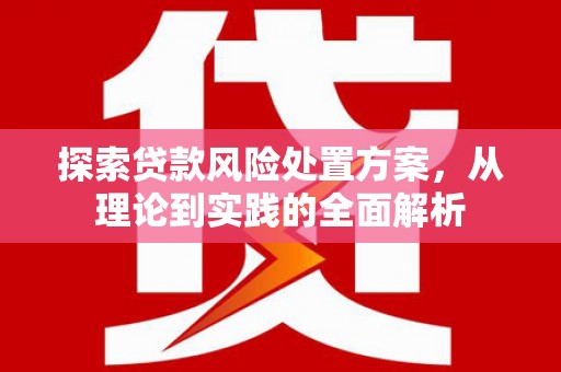 自贡探索贷款风险处置方案，从理论到实践的全面解析