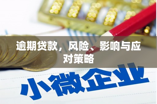 自贡逾期贷款，风险、影响与应对策略