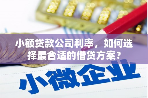 自贡小额贷款公司利率，如何选择最合适的借贷方案？