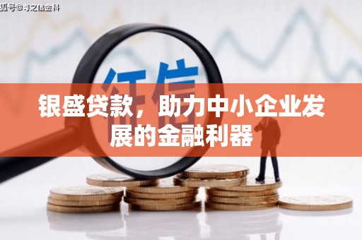 自贡银盛贷款，助力中小企业发展的金融利器