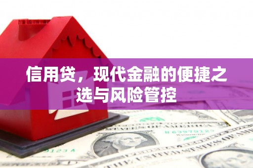 自贡信用贷，现代金融的便捷之选与风险管控