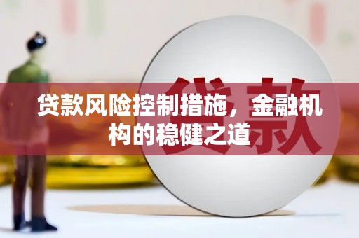 自贡贷款风险控制措施，金融机构的稳健之道