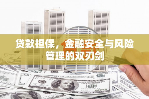 自贡贷款担保，金融安全与风险管理的双刃剑