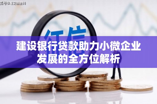 自贡建设银行贷款助力小微企业发展的全方位解析