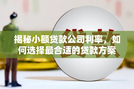 自贡揭秘小额贷款公司利率，如何选择最合适的贷款方案