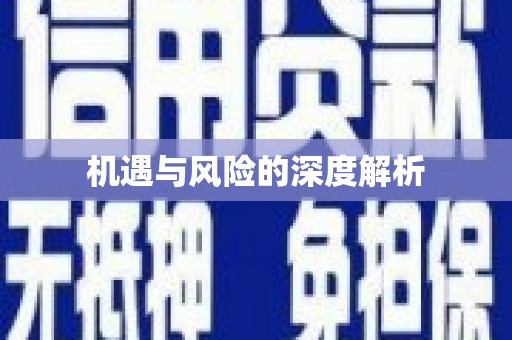 自贡机遇与风险的深度解析