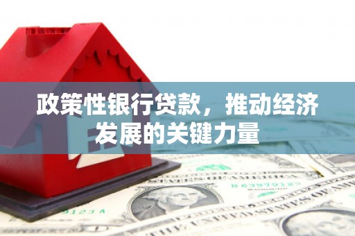 自贡政策性银行贷款，推动经济发展的关键力量