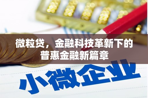 自贡微粒贷，金融科技革新下的普惠金融新篇章