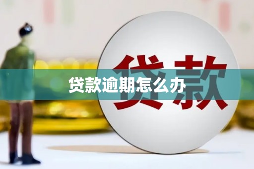 自贡贷款逾期怎么办