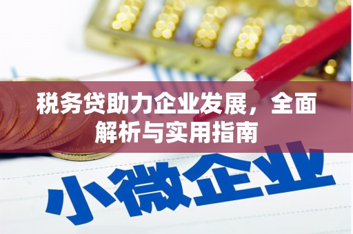 自贡税务贷助力企业发展，全面解析与实用指南