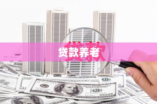 自贡贷款养老