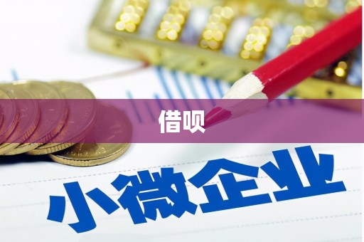 自贡借呗
