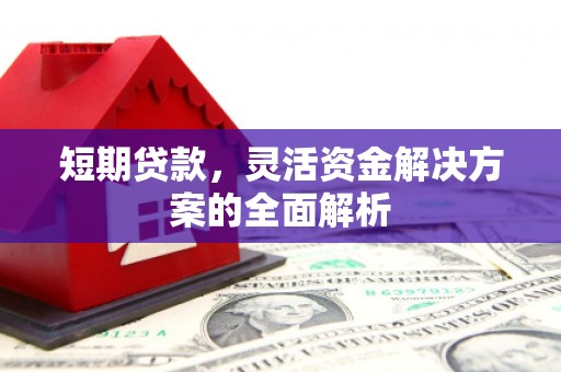 自贡短期贷款，灵活资金解决方案的全面解析